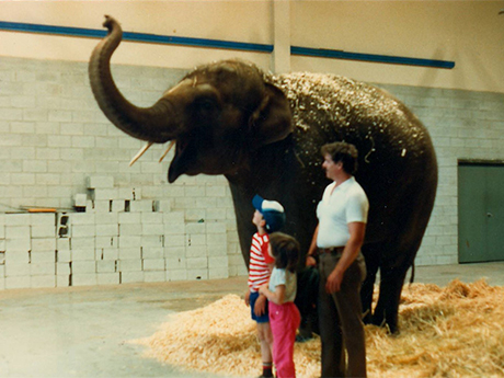 Tina-the-Elephant-1987-2