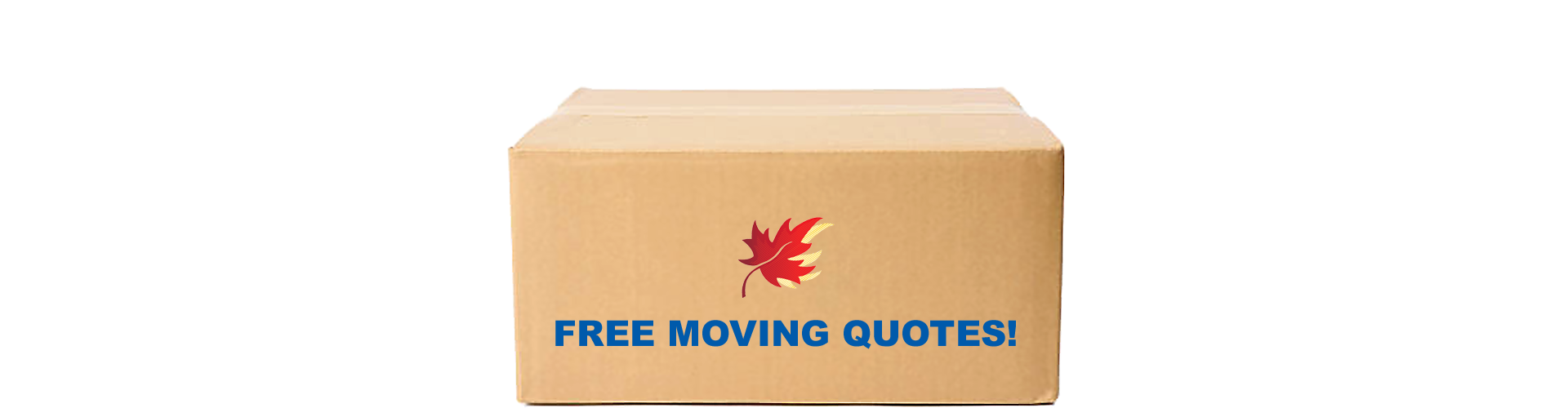 moving-box-hss3